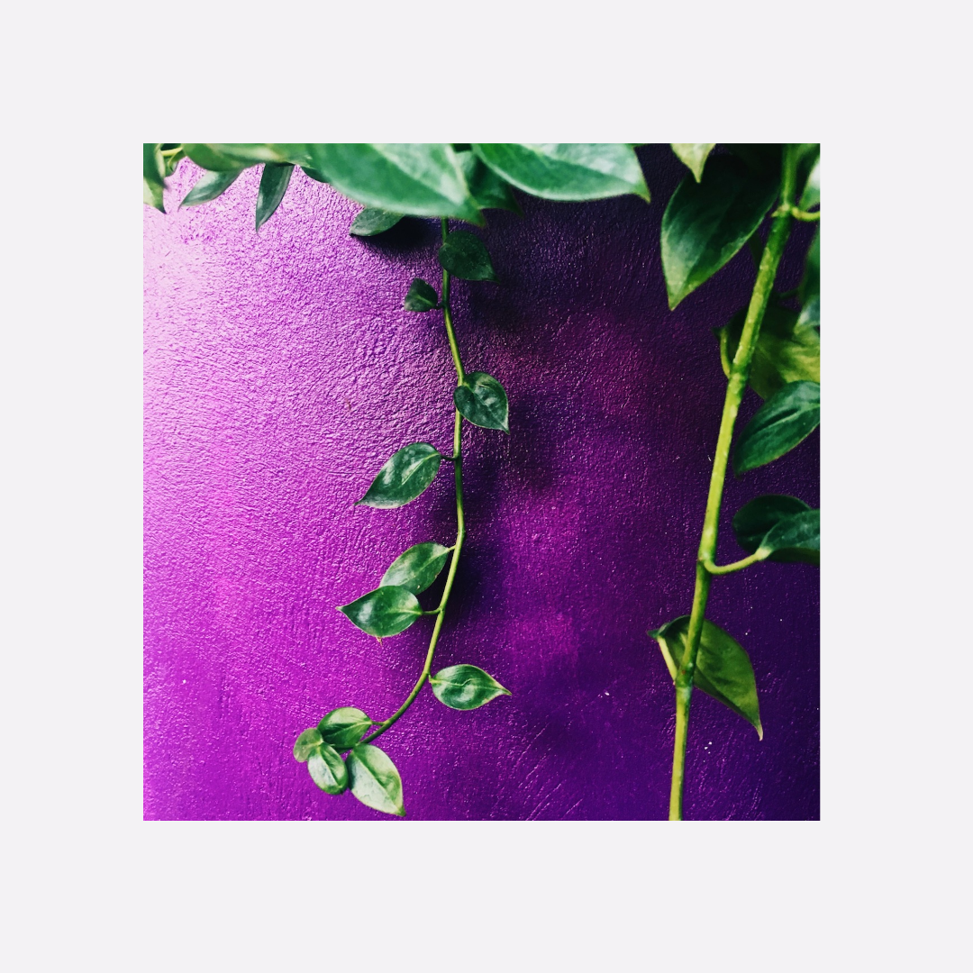 Mi Kay Grann Mwen, 2016