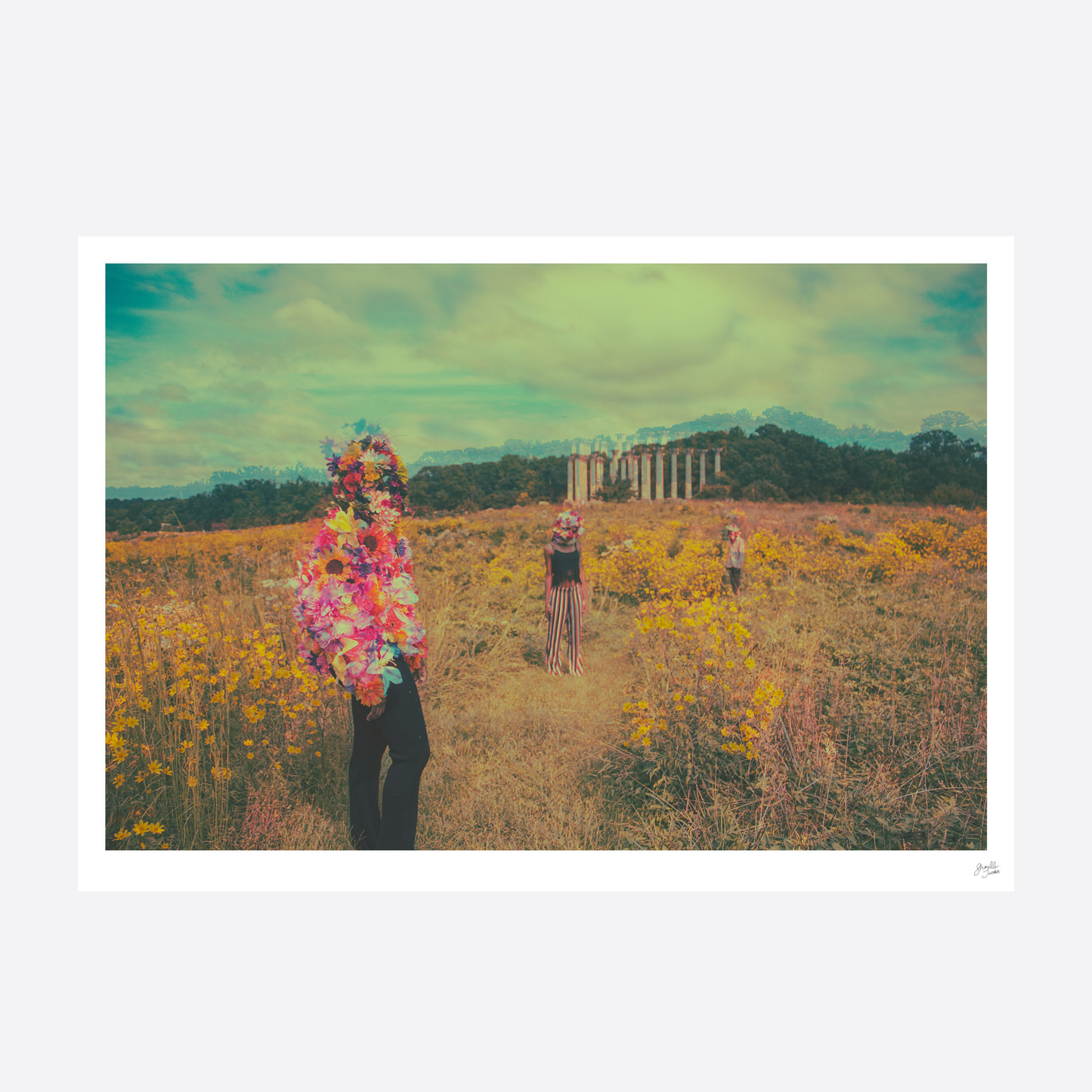 Flower Field