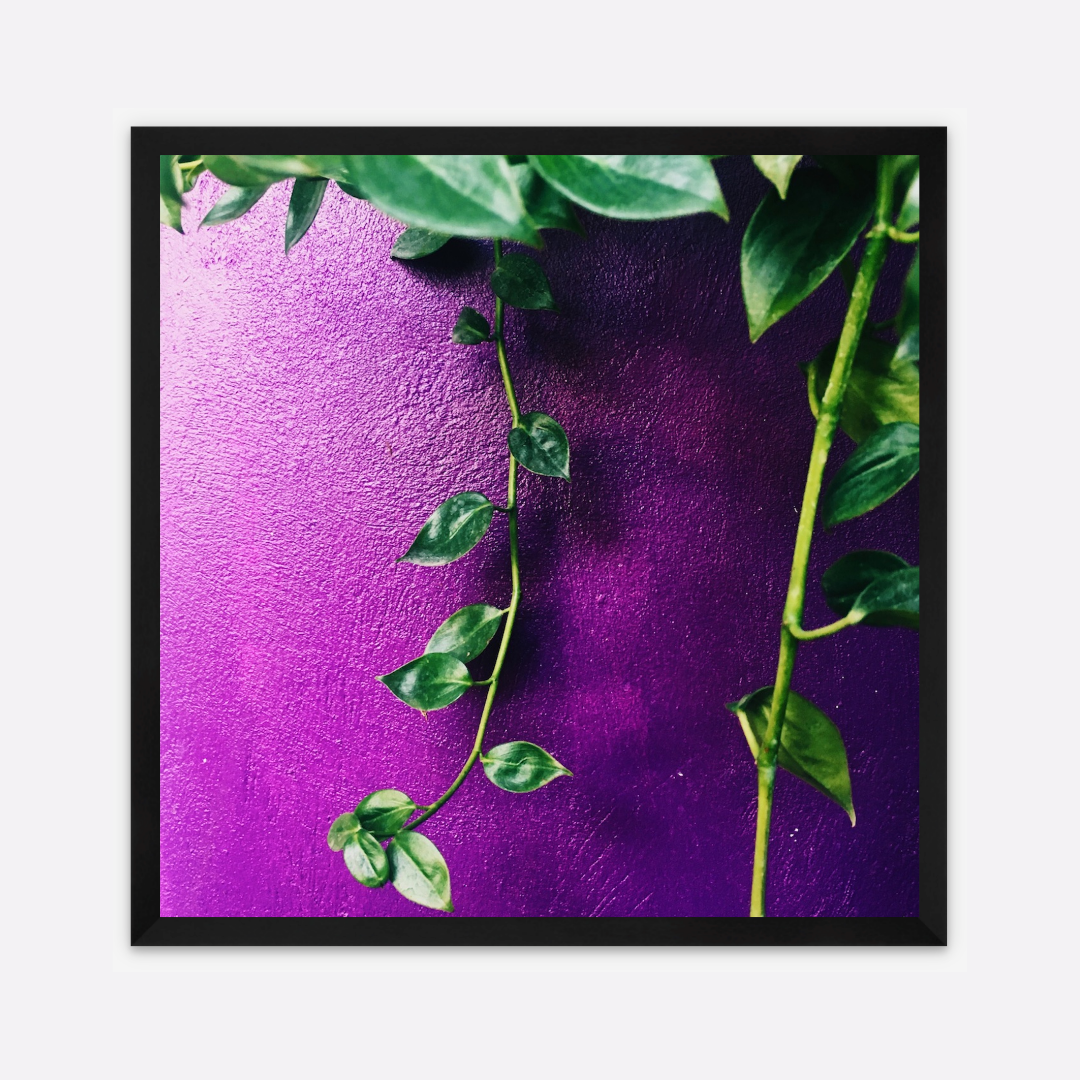 Mi Kay Grann Mwen, 2016