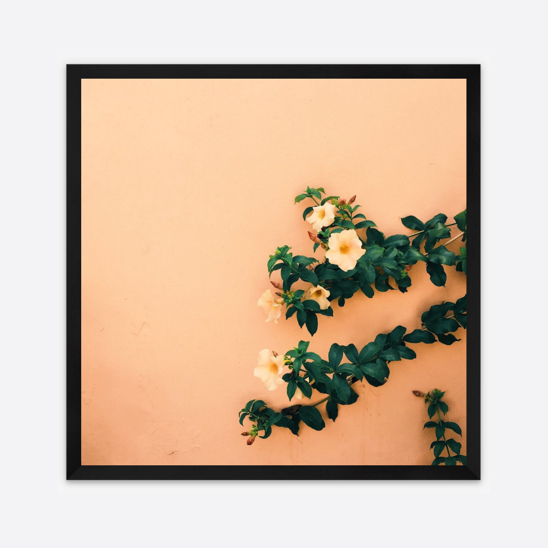 Pi Ba Kay Klod, 2017